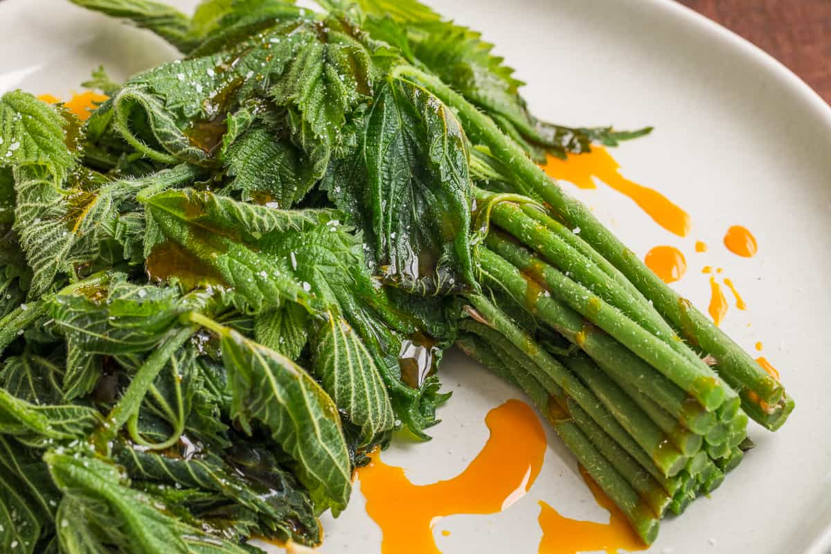 Steamed wood nettle shoots with acorn oil recipe