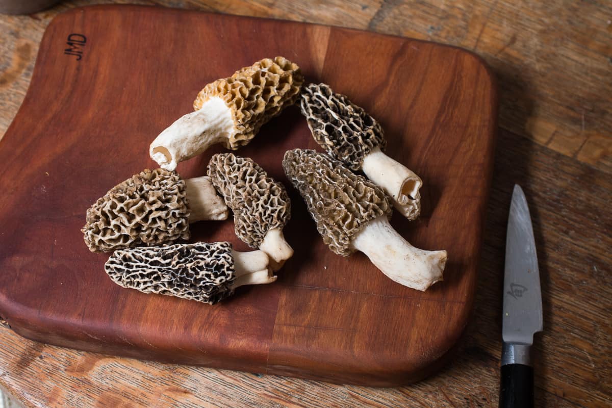 Stuffing morels with dried morel mushroom sauce