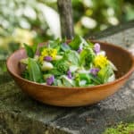 Cattail and milkweed shoot salad recipe