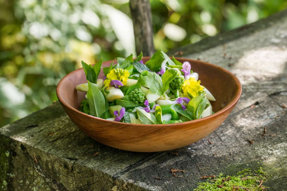 Cattail and milkweed shoot salad recipe