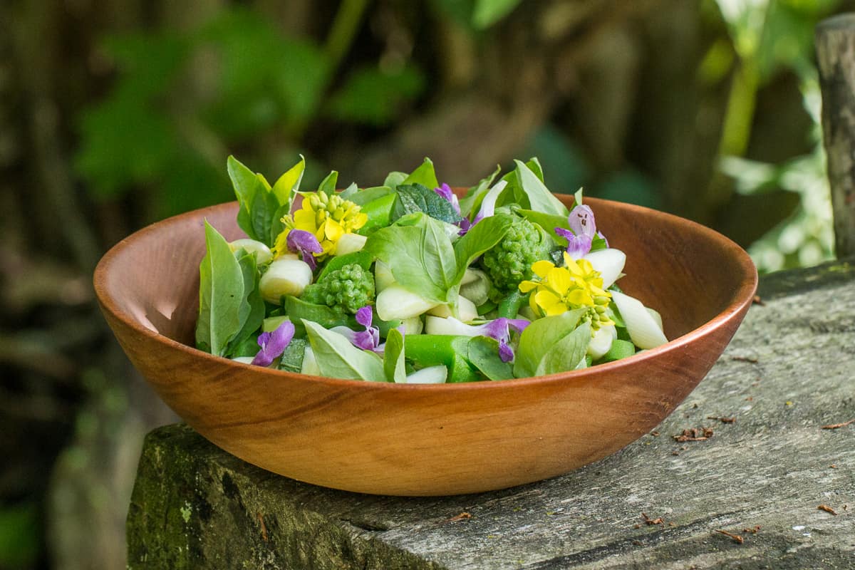 Cattail and milkweed shoot salad recipe 