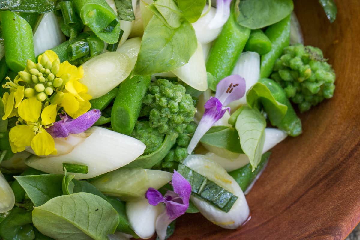 Cattail and milkweed shoot salad recipe 