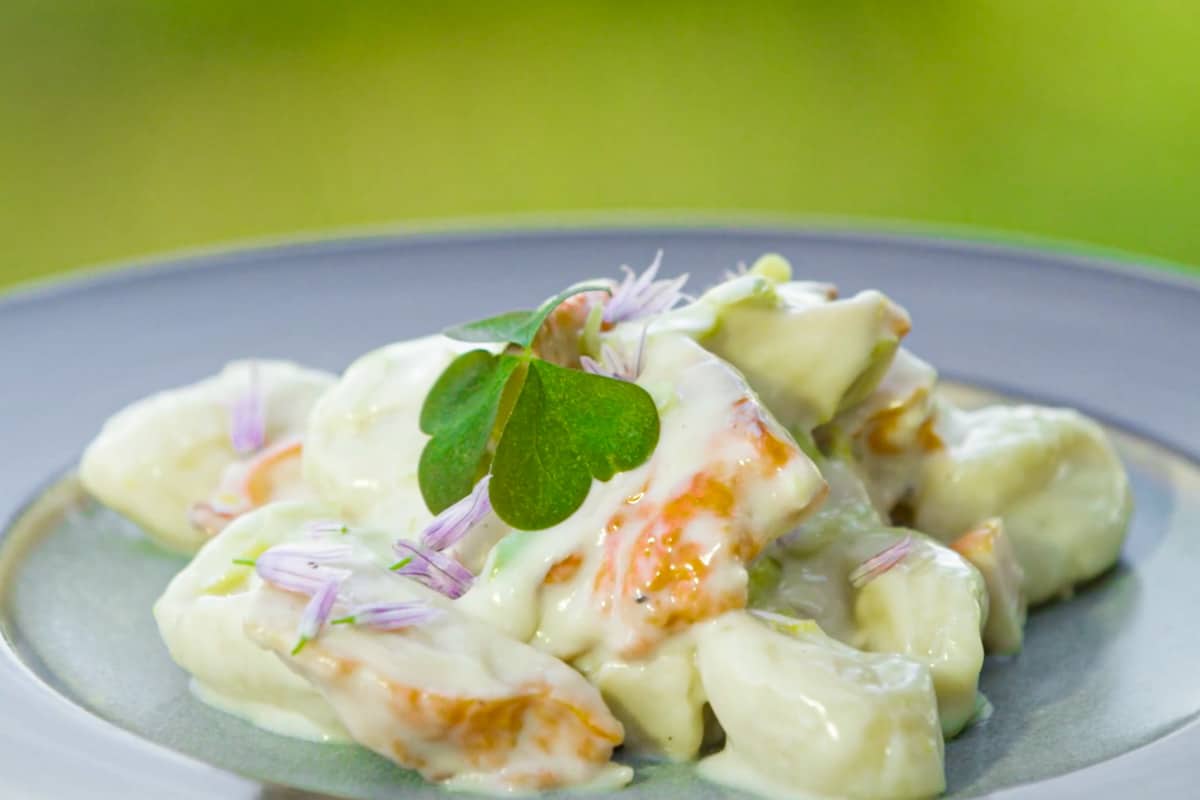 Chicken of the woods mushroom gnocchi with lemon cream and wood sorrel 