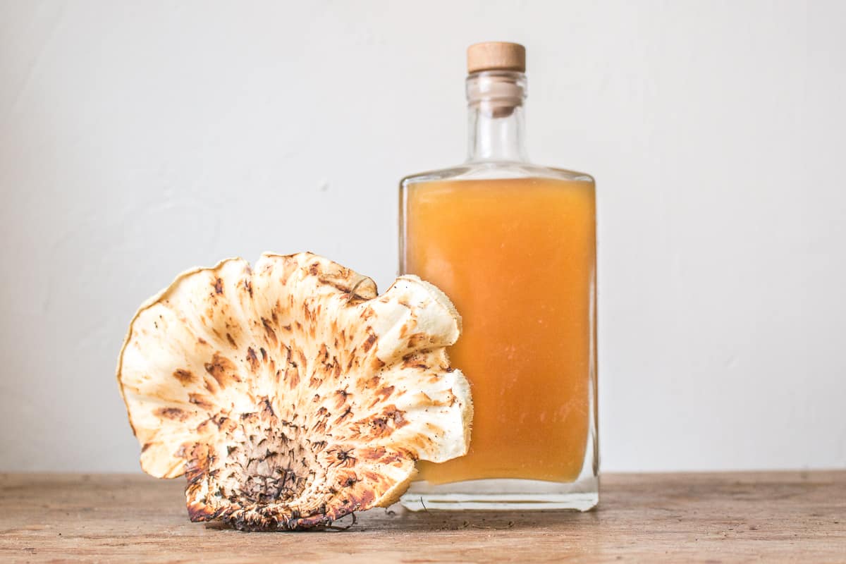 Fermented pheasant back or dryad saddle shoyu recipe with koji