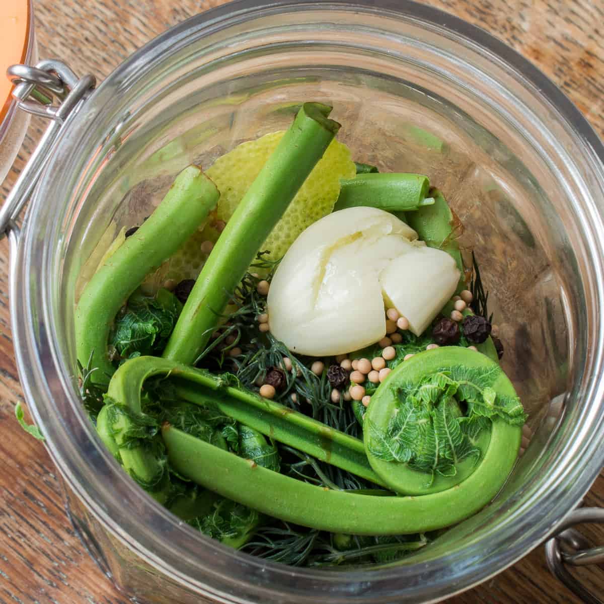 lactofermented pickled fiddlehead fern recipe