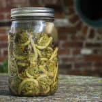 lactofermented pickled fiddlehead fern recipe