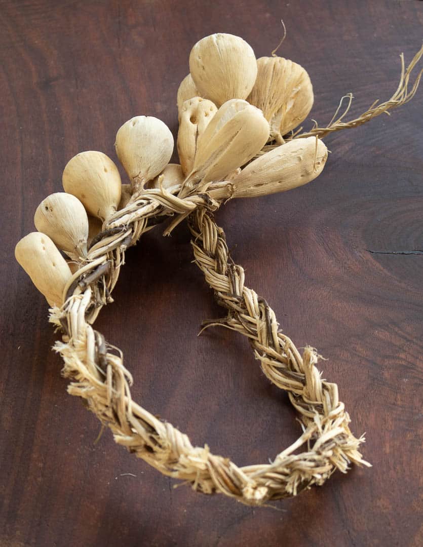 Thíŋpsiŋla braid or prairie turnips