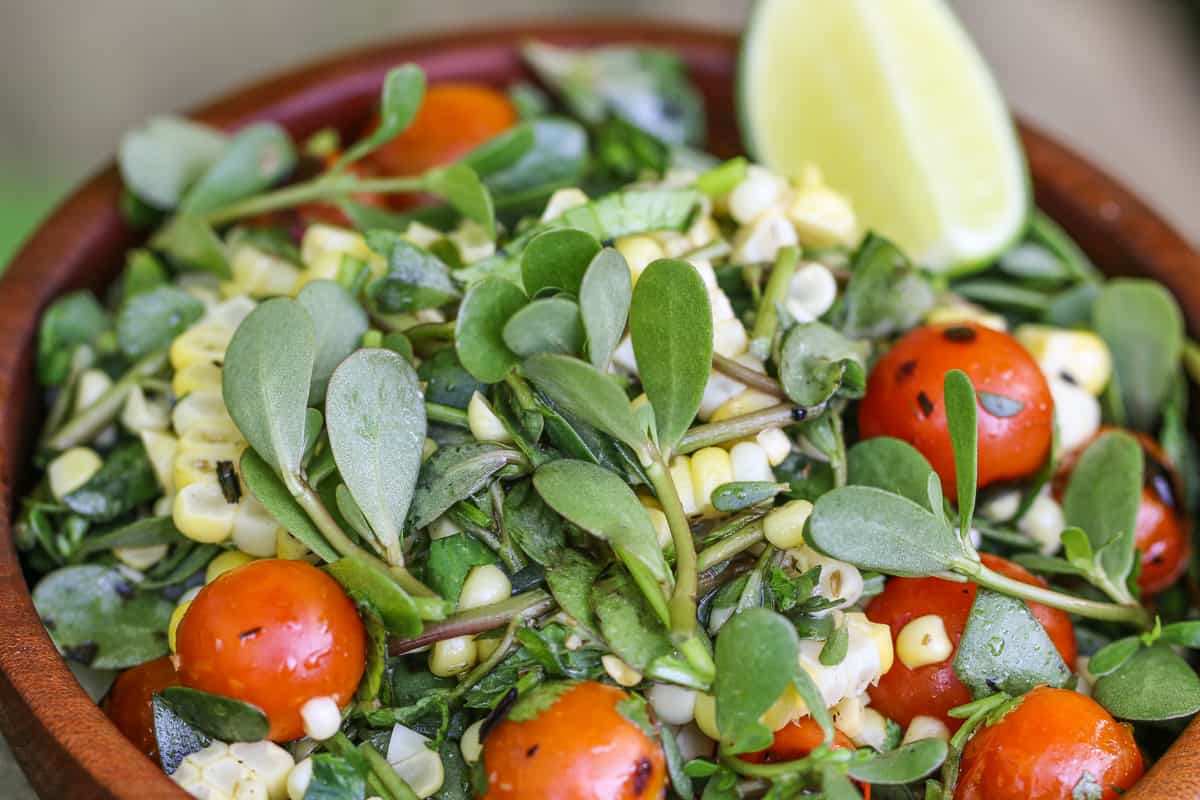 Foraged purslane, sweet corn and tomato salad recipe