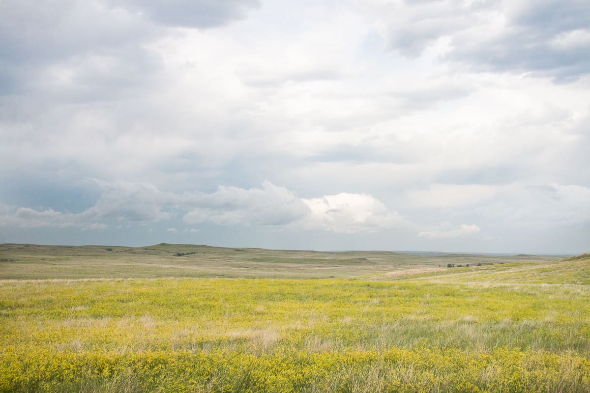 The South Dakota Prairie 