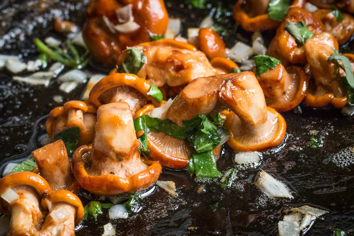 Cooking chanterelle mushrooms with the wet saute recipe