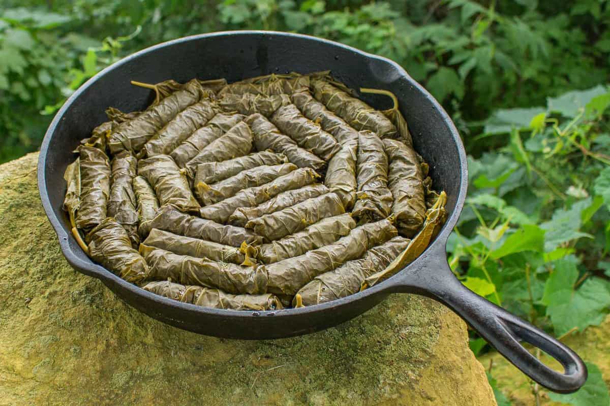 a pan of stuffed grape leaves 