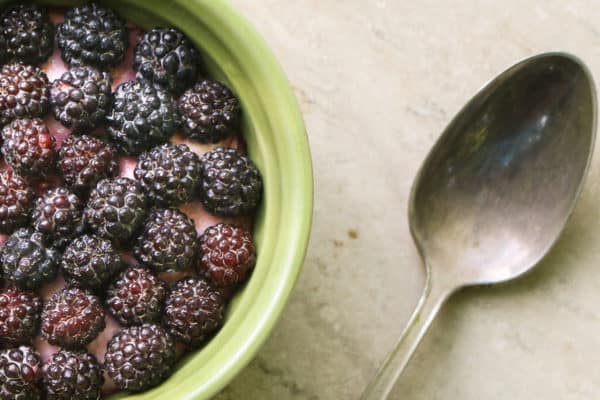 Wild black cap raspberry frango dessert recipe
