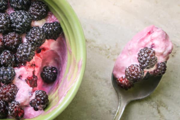 Wild black raspberry frango dessert recipe