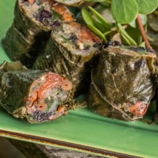 Foraged grape leaves stuffed with wild blueberries pine nuts and wild rice flour