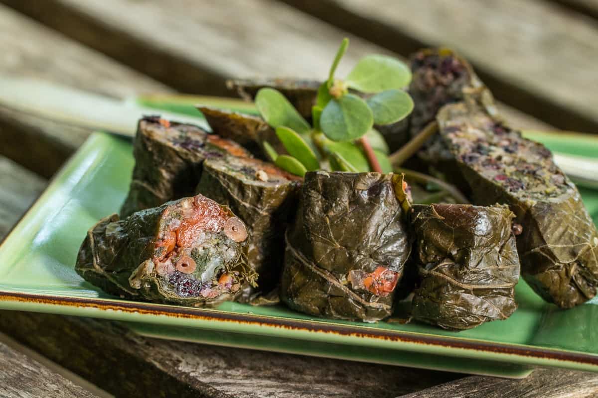 Fermented wild grape leaves stuffed with wild fruit, wild rice, greens and nuts