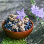 Wild blueberries with sweet fern custard sauce and hazelnut amaretti recipe