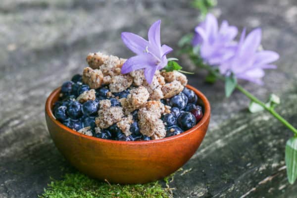 Wild blueberries with sweet fern custard sauce and hazelnut amaretti recipe