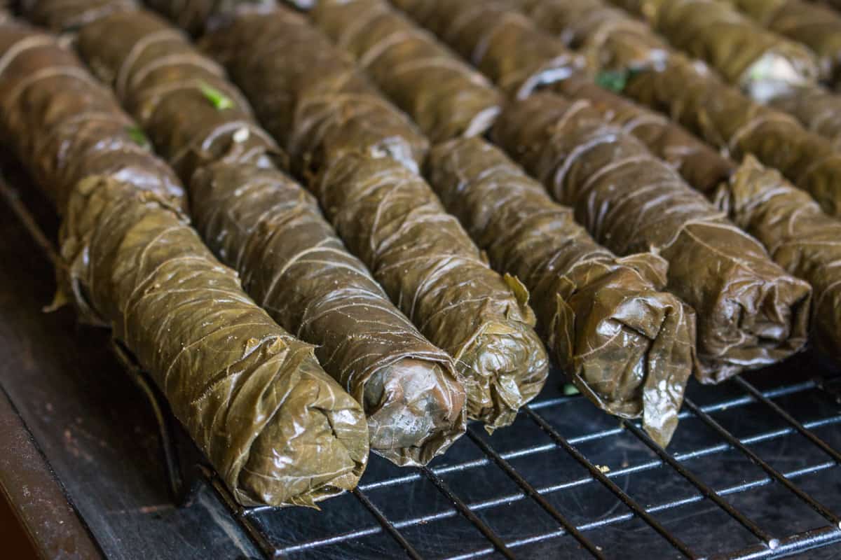 Lactofermented wild grape leaves stuffed with fruit and nuts 