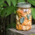 Salted wild mushrooms in brine recipe