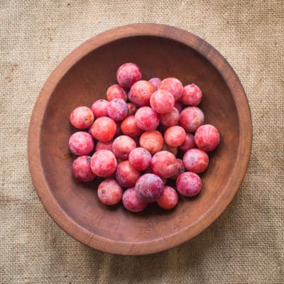 Wild plums Prunus americana