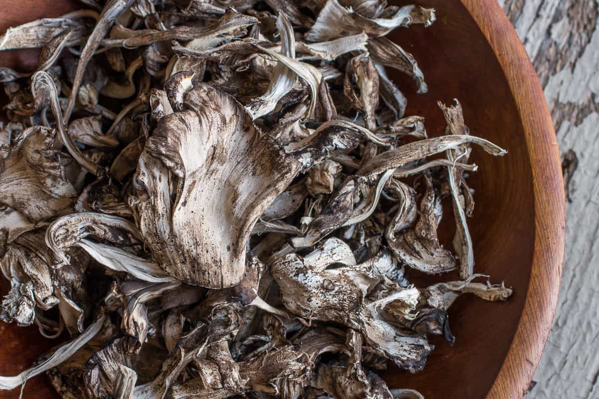 Dried Meripilus sumstinei or black staining polypore