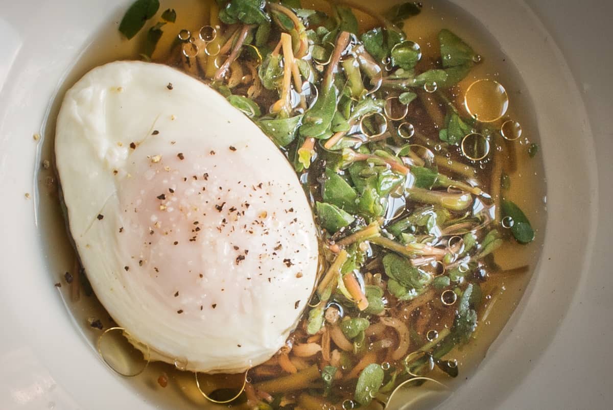 Black Staining Polypore Broth with Wild Rice Purslane and a Poached Egg