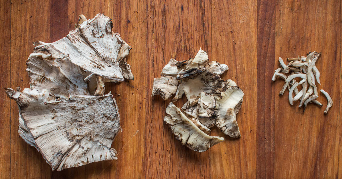 Cutting black staining polypores for cooking