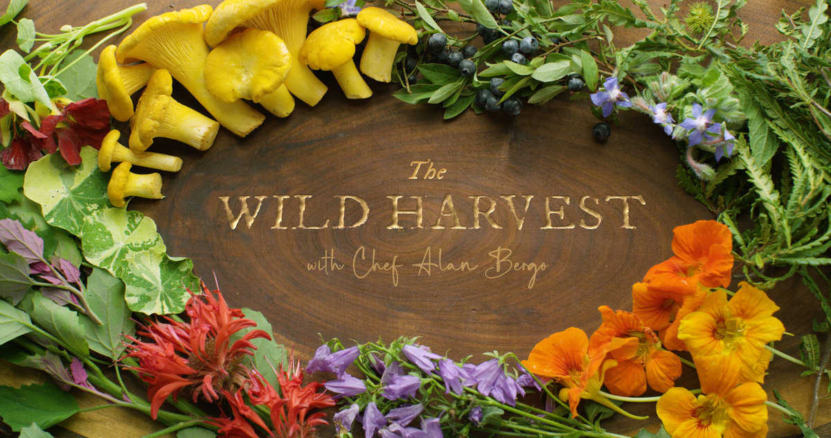 The Wild Harvest Show with Chef Alan Bergo. Episode 4 Mid Summer.