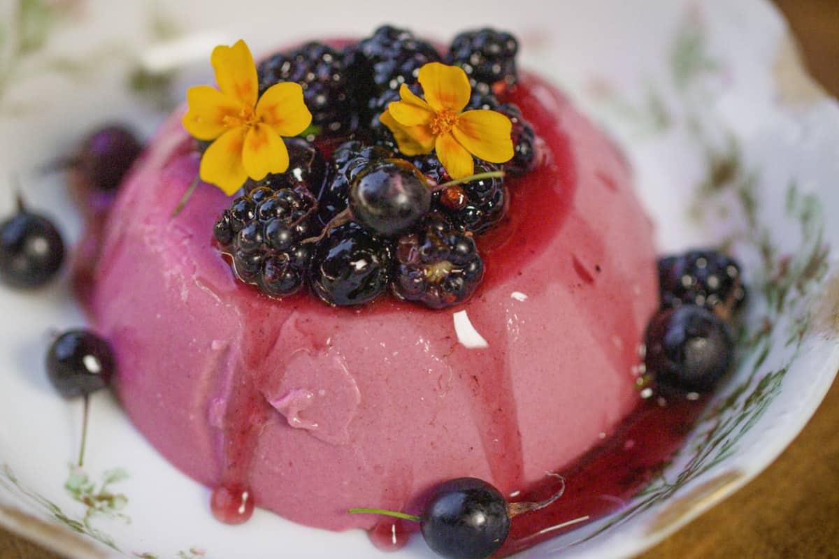 Berry Cider Panna Cotta recipe