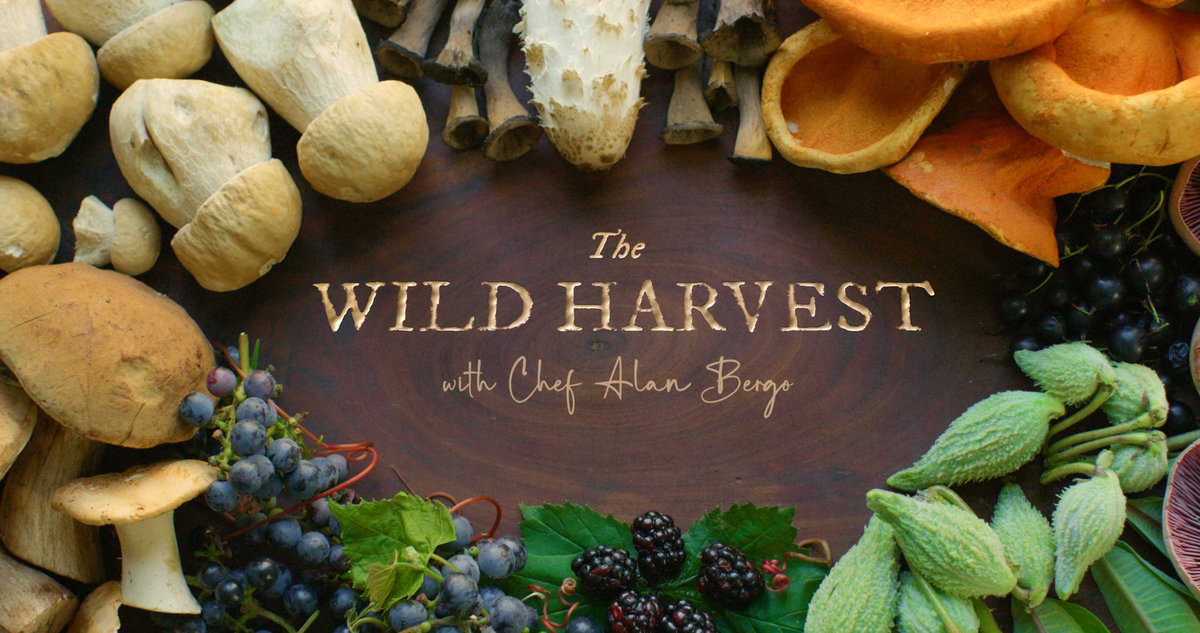 The Wild Harvest Show by Alan Bergo and Jesse Roesler Episode 5