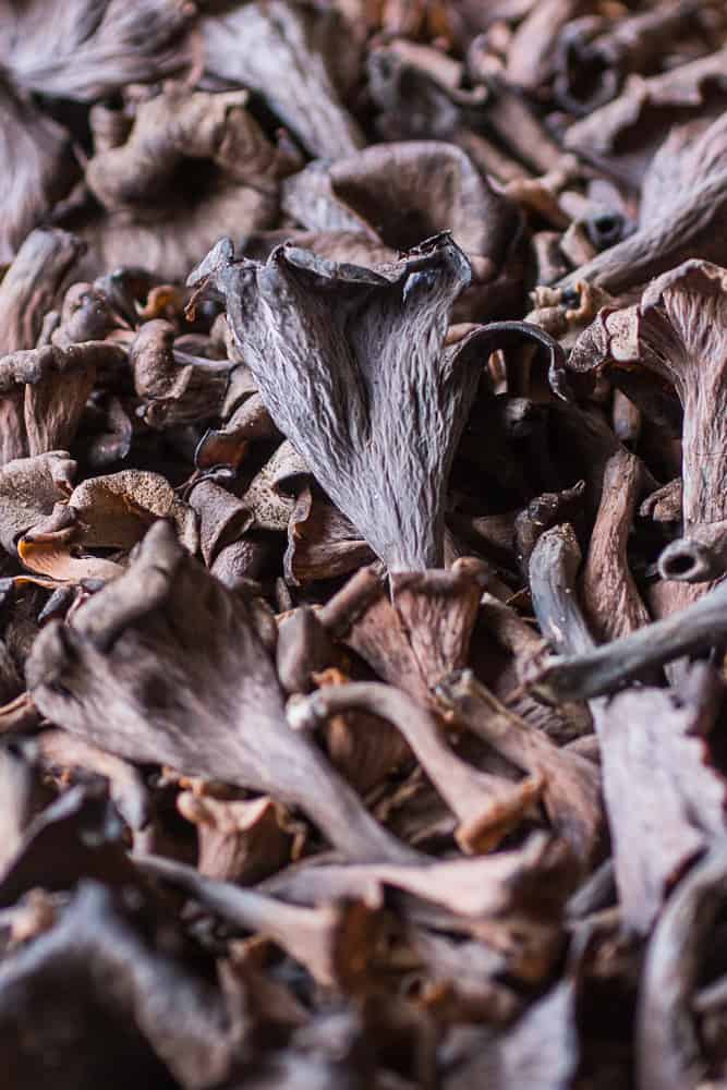 fresh black trumpet mushrooms or craterellus fallax 