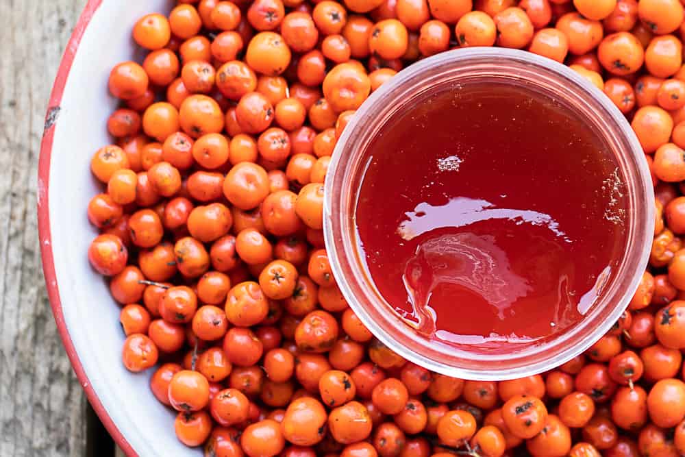 Rowanberry jelly or mountain ash berry jelly