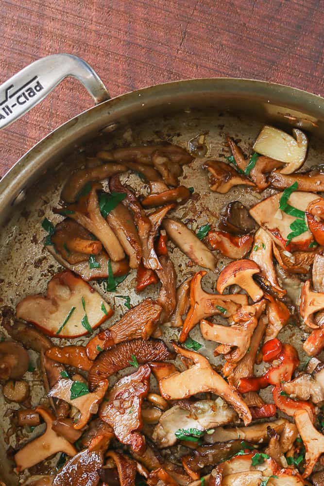Fricasee of chanterelles, porcini, lobster mushrooms, and laccaria recipe