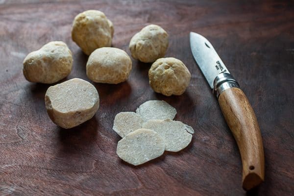 Hungarian Honey truffles or Mattirolomyces terfezioides
