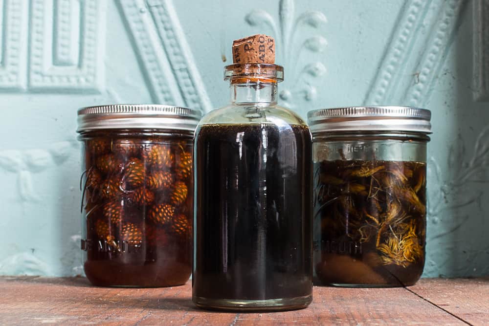 Mugolio syrup made from pine cones and spruce tips recipe 