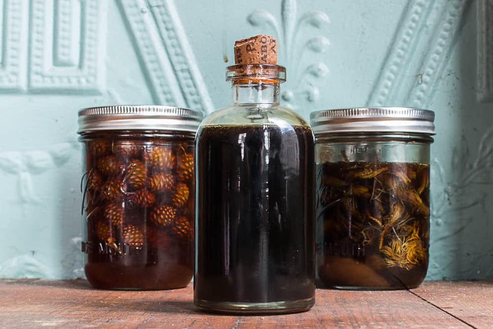 Mugolio syrup made from pine cones and spruce tips recipe