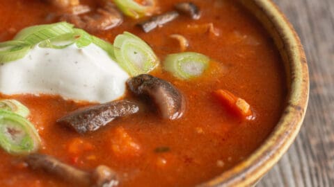 Porno mushuk mavzular