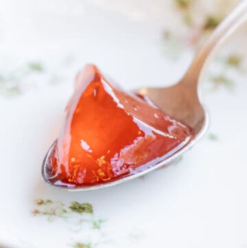 Rowanberry jelly on a spoon
