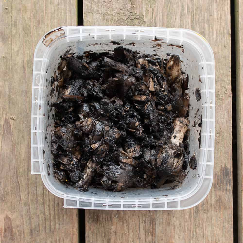 How to make shaggy mane mushroom ink recipe