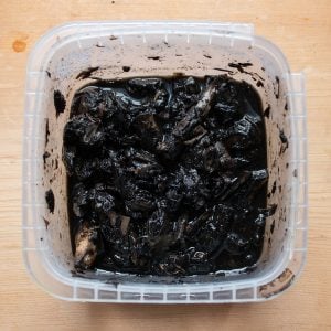 How to make shaggy mane mushroom ink recipe
