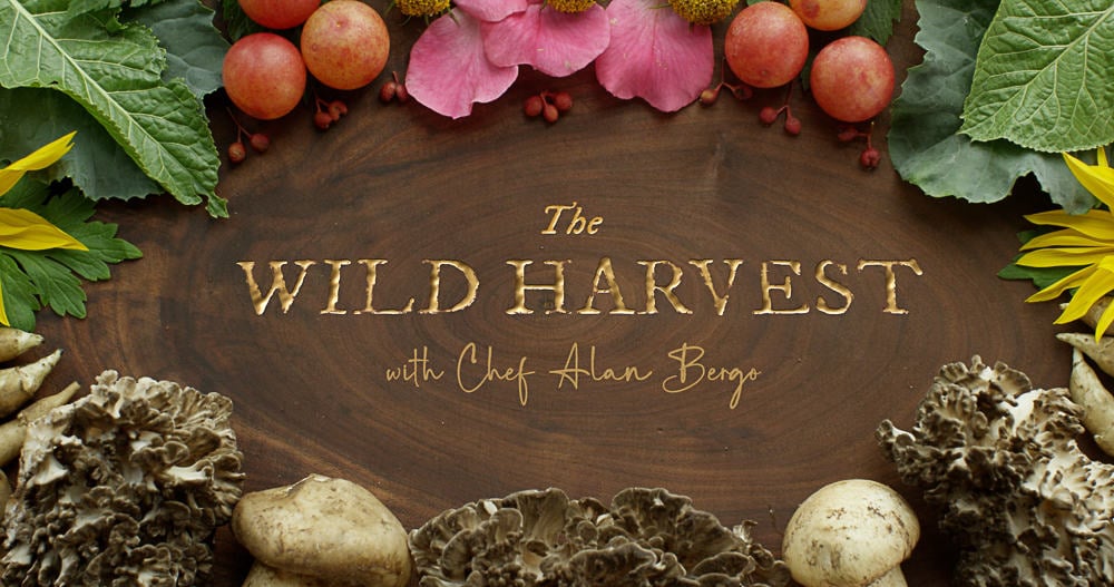 The Wild Harvest Show | Episode 6: Autumn