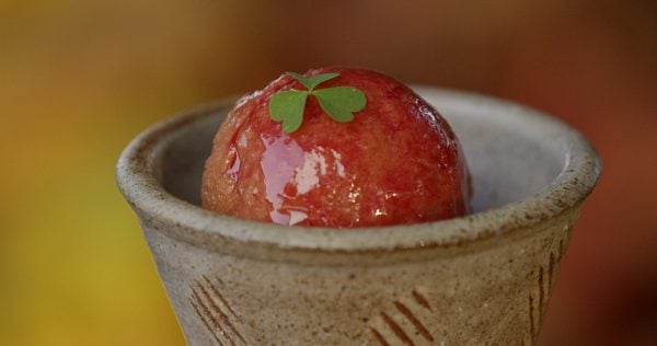 Wild plum (Prunus americana) sorbet recipe