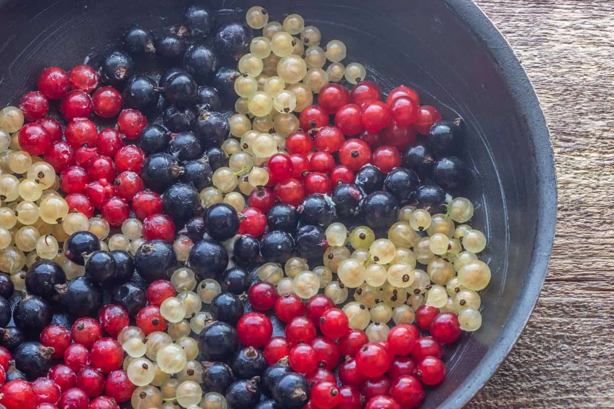 currants for cassis 