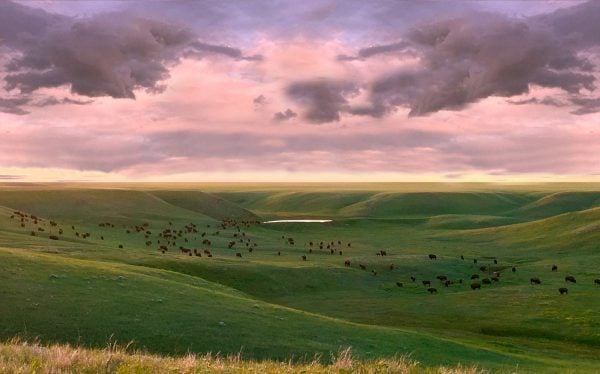 a view of the prairie 