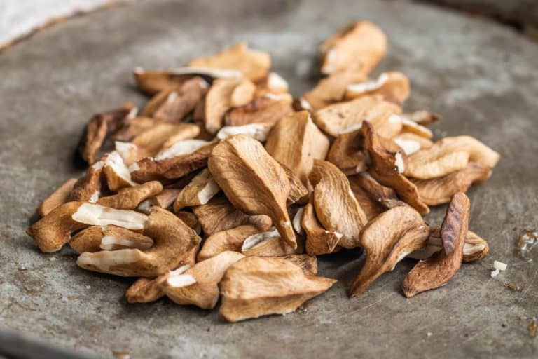 Shelled butternuts or white walnuts, Juglans cinerea