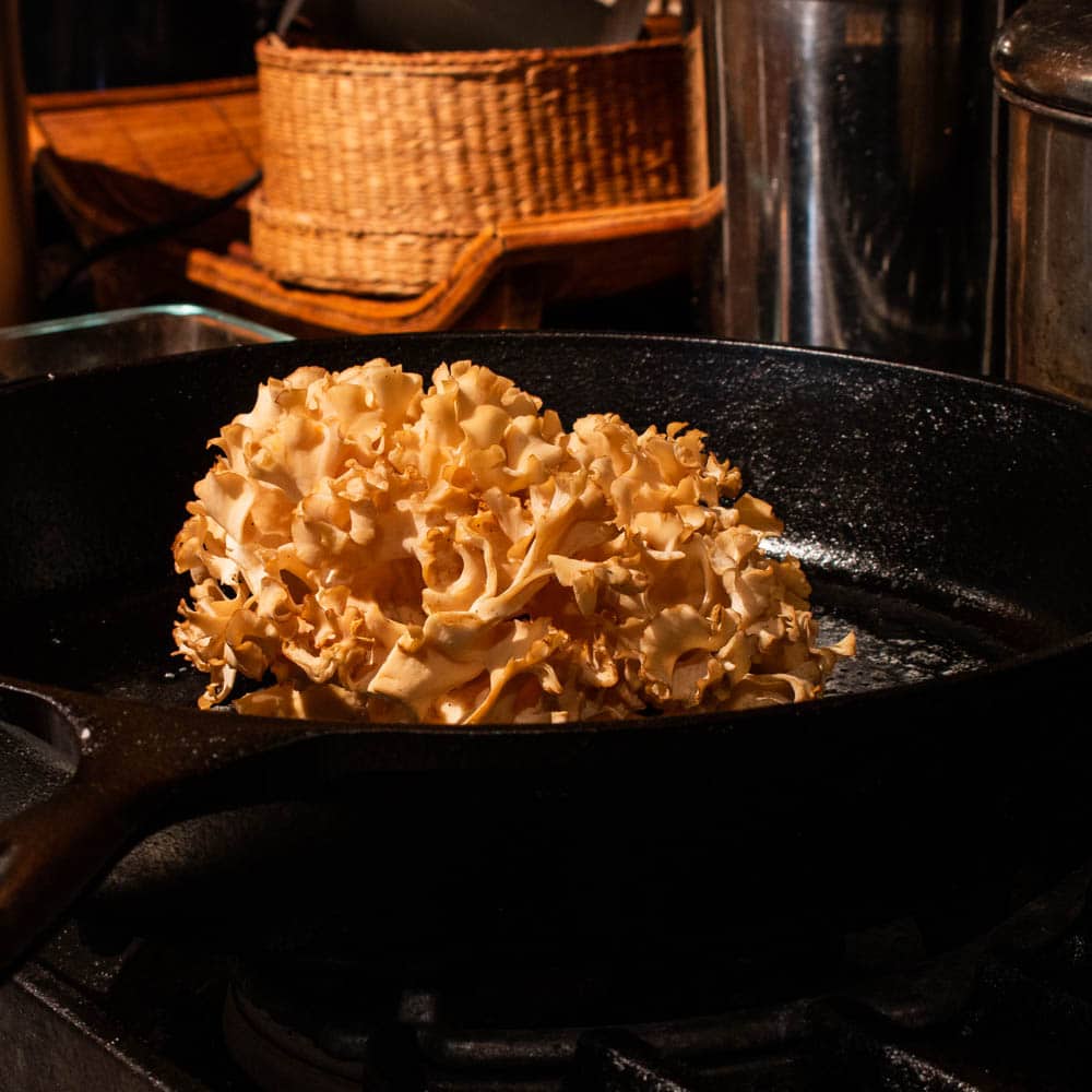 Cauliflower mushroom steaks_-2