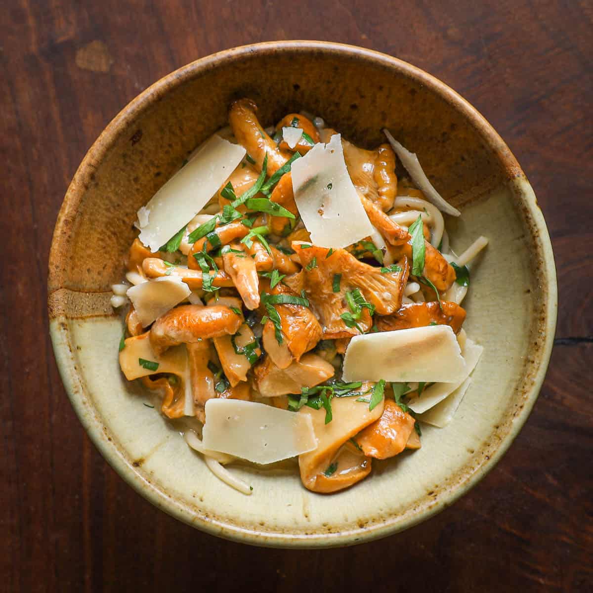 Chanterelle mushroom spaghetti with roasted garlic sauce and herbs in a ceramic bowl on black walnut background
