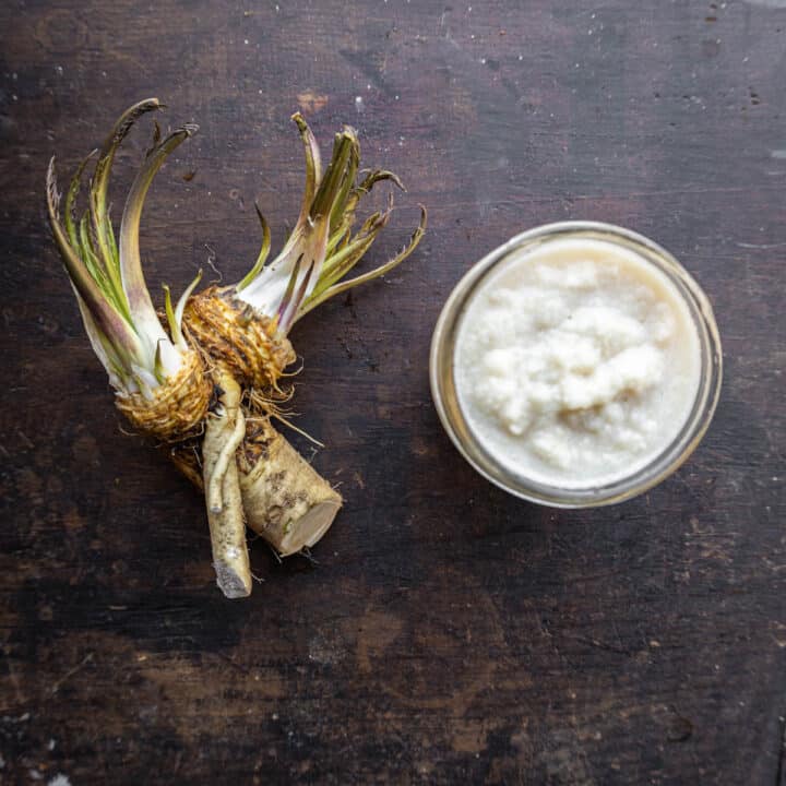 How to Harvest and Cook with Horseradish Roots