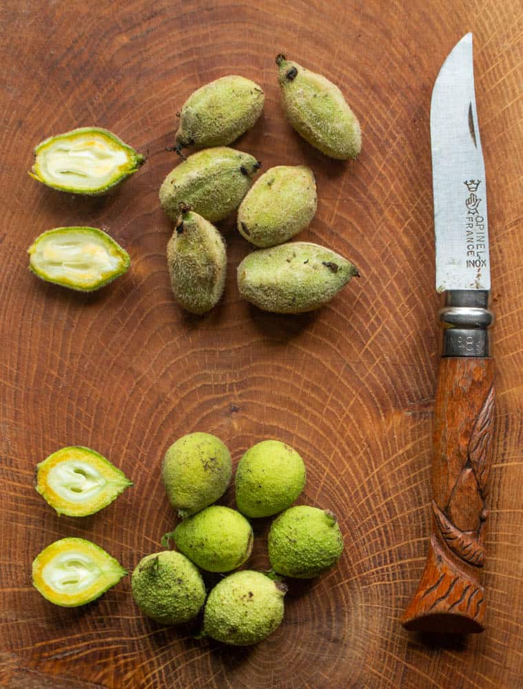 Green Black Walnuts and Butternuts (1)