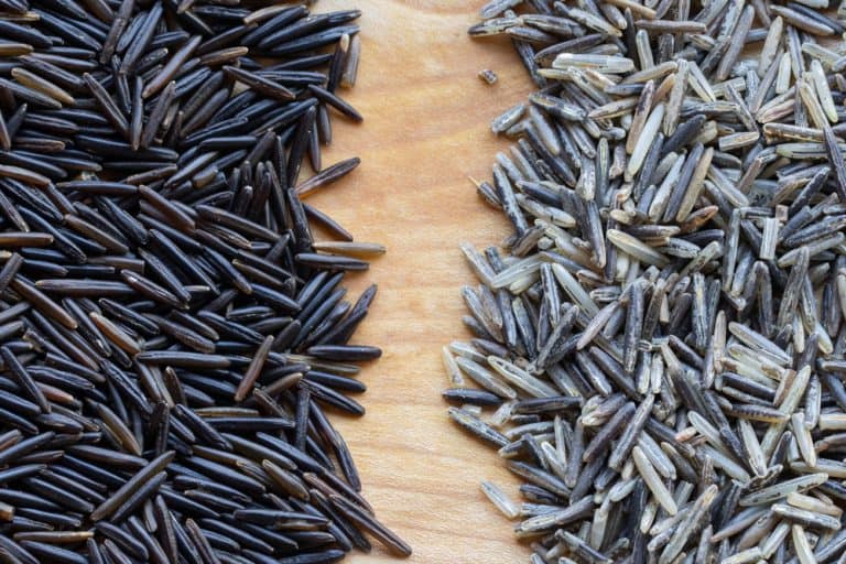 Wild Rice or Manoomin A Buyers Guide FORAGER CHEF